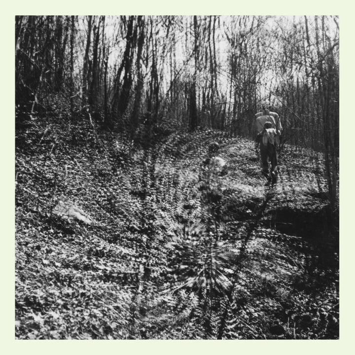 Topographies - Interior Spring LP