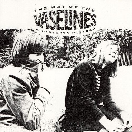 Vaselines - The Way of the Vaselines 2xLP