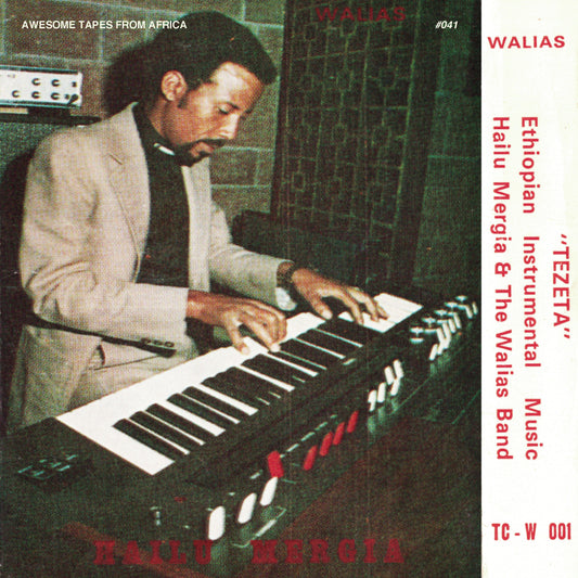 Hailu Mergia & The Walias Band - Tezeta LP